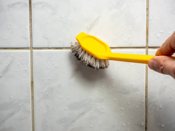 Best Mold Remediation  in Waverly, MI