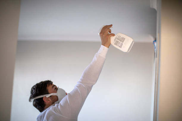  Waverly, MI Mold Removal Pros